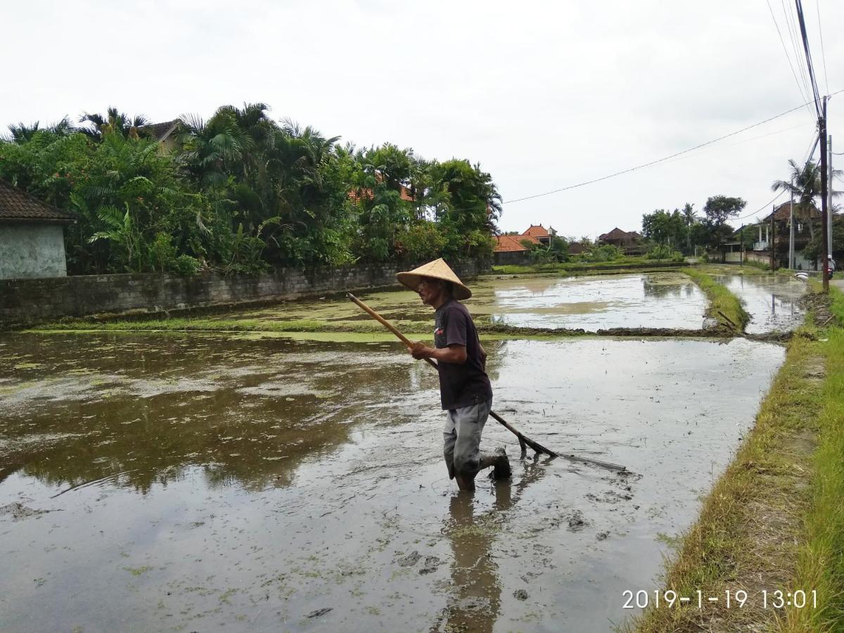 Bhuana Alit 2 Ubud ภายนอก รูปภาพ