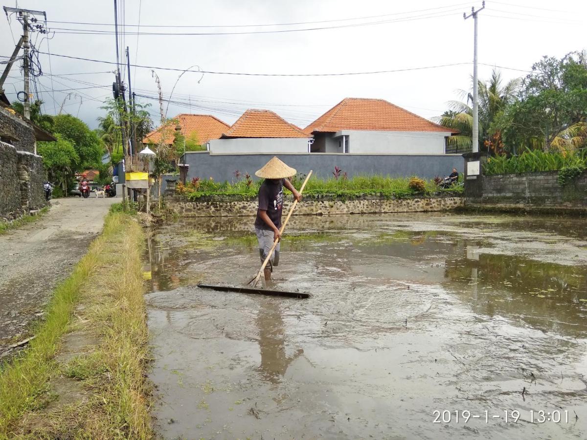 Bhuana Alit 2 Ubud ภายนอก รูปภาพ