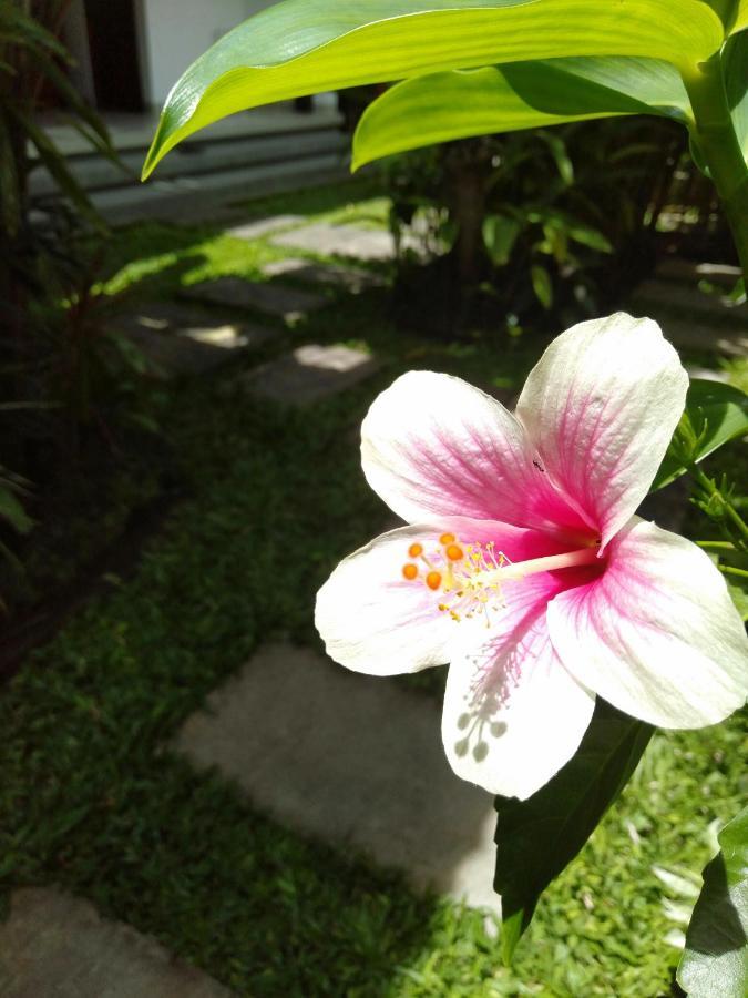Bhuana Alit 2 Ubud ภายนอก รูปภาพ